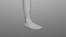 organic-modeling