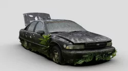 Overgrown Black Sedan (Raw Scan)
