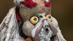 Owl - Costume and mask