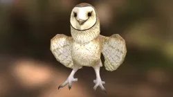 Owl - First Frost