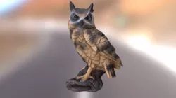 Owl Scan