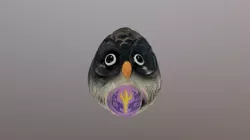 Owls