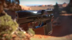 p250