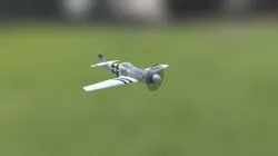 P51
