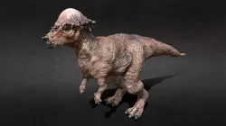 Pachycephalosaurus
