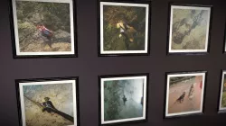 Paintings Set4: Drownings (archviz assets)