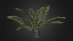 palm-1b