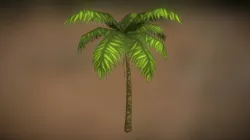 Palm Tree