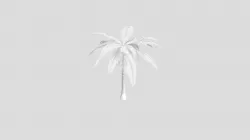 Palm Tree