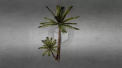 Palm V2