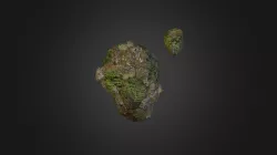 pandora