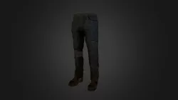 Pants Study