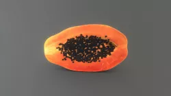 Papaya