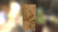 Paper Bag
