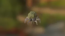 Paper tick