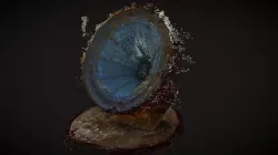Patefon/Gramophone