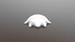 paw-print