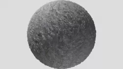 PBR Tree Bark 15