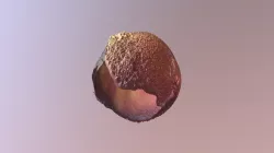 Peach
