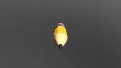 Pencil