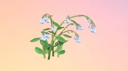 Pending: Virginia Bluebells Cluster