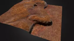 Penny Nose Closeup v2