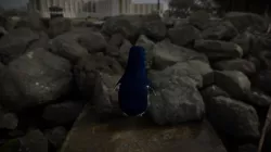 Pequeño pinguino azul examen