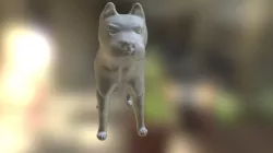 Perro