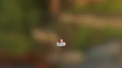 Person