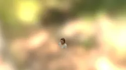 Person