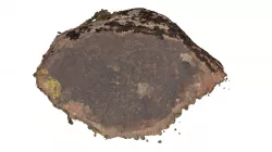 Petroglyph, Karatal River