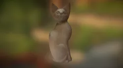 Photogrammetry