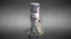 Photogrammetry Stump