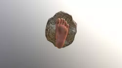 Pie