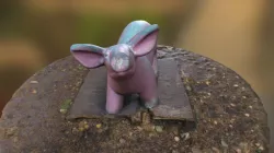 Pig