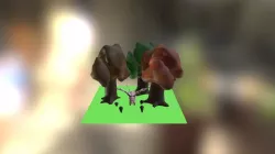 Pig and Background