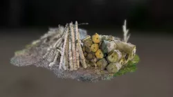 Pile of Wood [2 Minute Point Cloud]