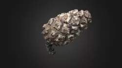 Pine cone