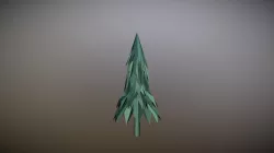 Pine Tree