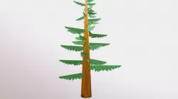 Pine Tree