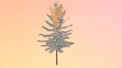 Pine Tree