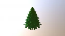 Pine Tree