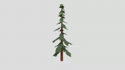 Pine Tree