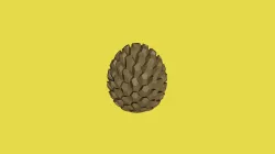 Pinecone - 3December