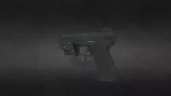 pistol