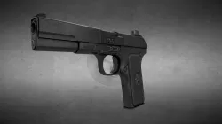 Pistol Gun