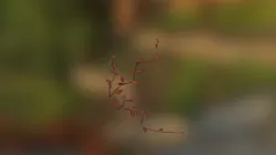 Plant_02 (Alien Pet Shop)