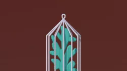 Plant cage