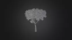 Plant for c4d