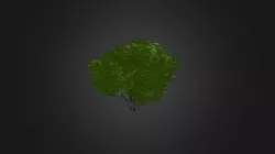 Plant for c4d